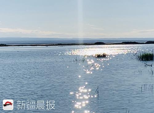 奔着“骆驼”来旅居，中国骆驼小镇在福?？そㄉ? inline=