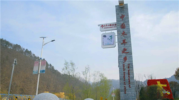 图片1.png