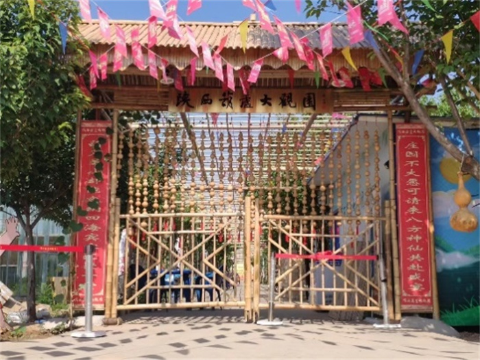 图片3